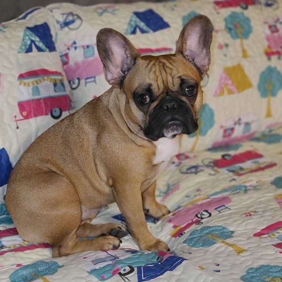 Meet your Posher, Annette - Picture 3 of 15